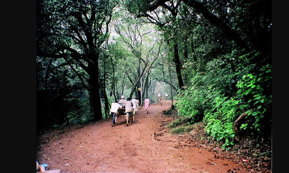 SC Directs Maharashtra Government to Replace Hand-Pulled Rickshaws with E-Rickshaws in Matheran