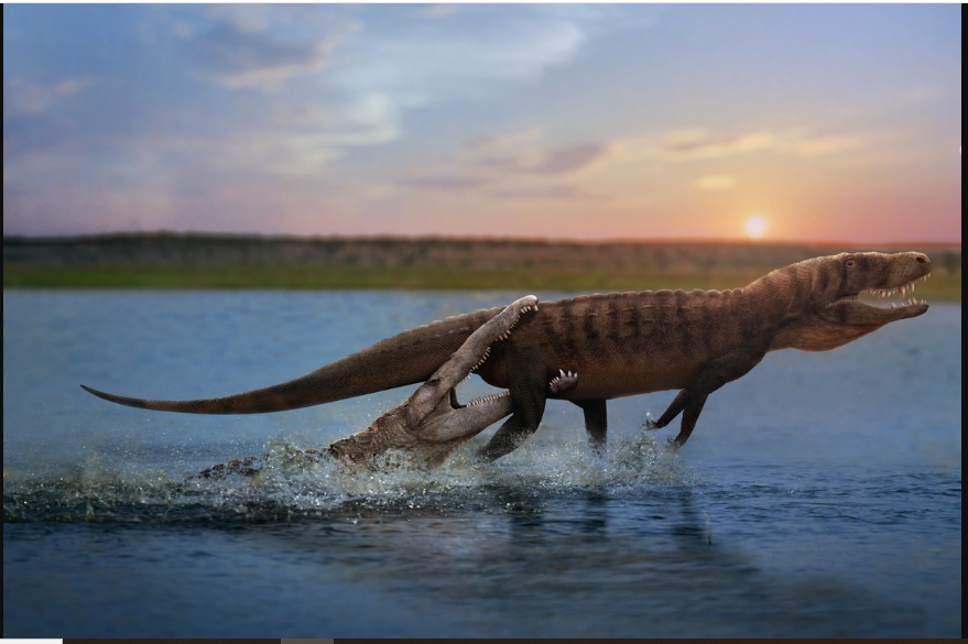 Fossil Found near Jaisalmer was of a Phytosaur: Experts