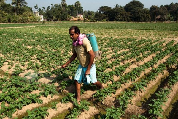 PM Modi shares article on reforms and farmer-centric initiatives driving agricultural growth