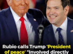 Screenshot 2025-08-08 174415