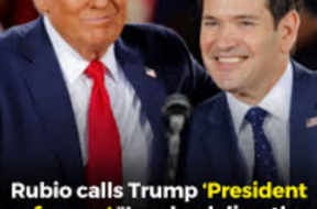 Screenshot 2025-08-08 174415