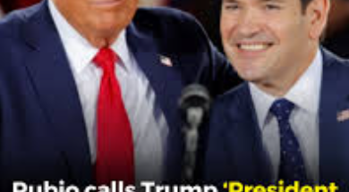 Screenshot 2025-08-08 174415