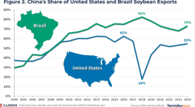 Screenshot 2025-08-21 161955