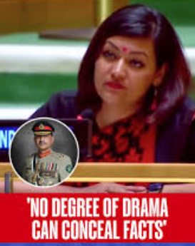 India@UN: “Pak welcome to enjoy destroyed runways and burnt-out hangers as victory!”