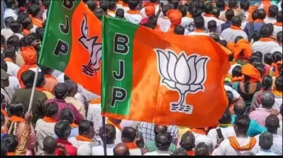Bihar Elections: BJP Releases First List of 71 Candidates, Talks on in Mahagathbandhan