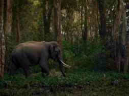 Screenshot 2025-10-22 164515