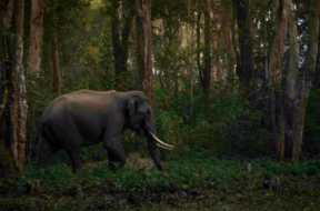 Screenshot 2025-10-22 164515