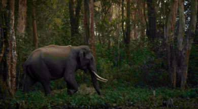 Screenshot 2025-10-22 164515