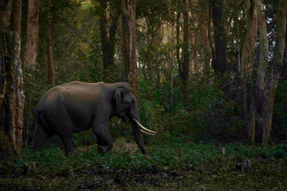 Screenshot 2025-10-22 164515