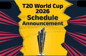 31 world cup