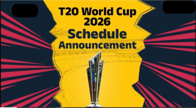 31 world cup