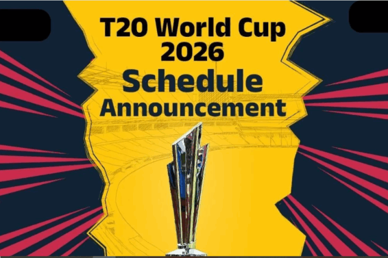 31 world cup