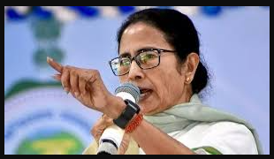 Mamata Banerjee Denied Media Reports She Promised to Fill up SIR Enumeration Forms