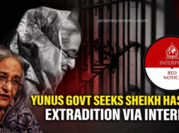 Screenshot 2025-11-19 181024