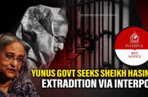 Screenshot 2025-11-19 181024