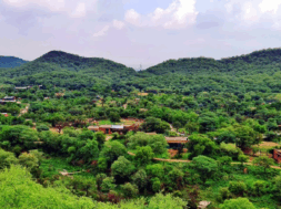 54 aravalli