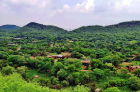 54 aravalli