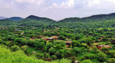 54 aravalli