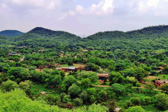 54 aravalli