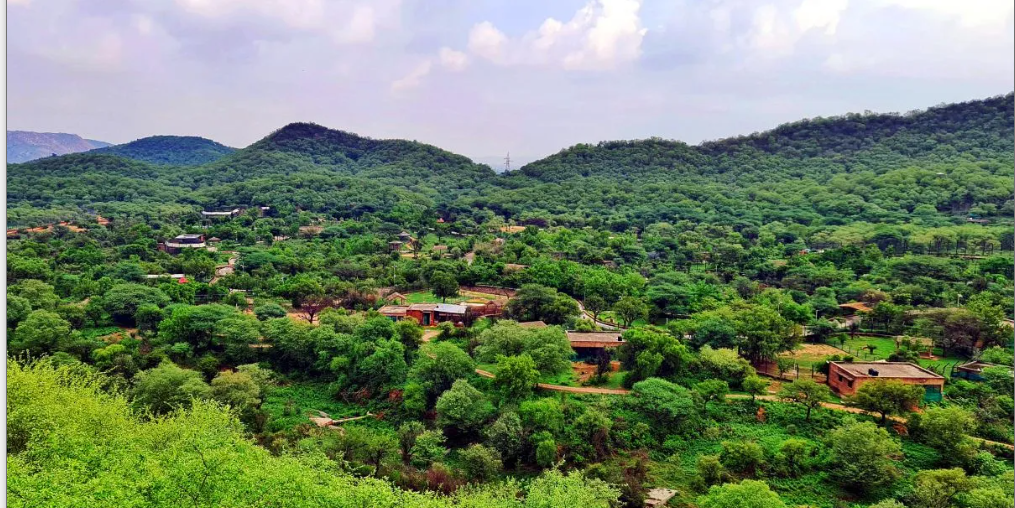 “Save Aravalli” Row: Environmentalist Approach SC to Reconsider “100 Metre” Decision