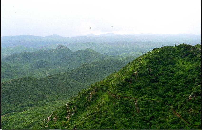 Complete Ban Imposed on Granting of New Mining Leases in Aravallis