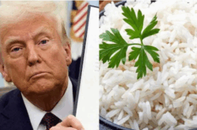 Screenshot 2025-12-09 163556