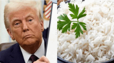 Screenshot 2025-12-09 163556