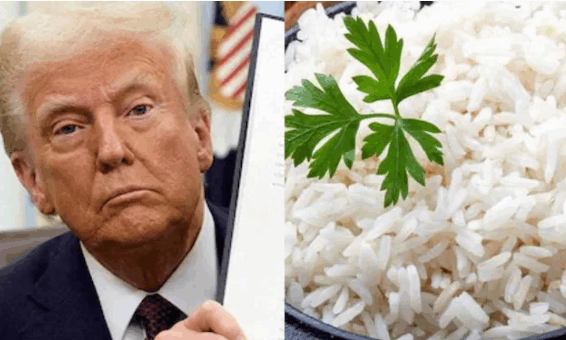 Screenshot 2025-12-09 163556