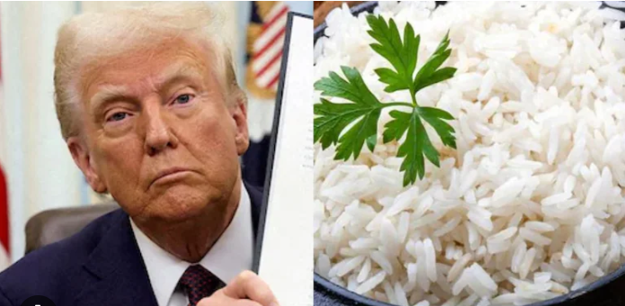 Agriculture: The US may impose tariffs on rice imports from India