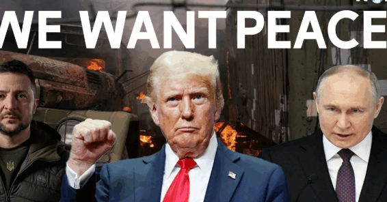 Screenshot 2025-12-12 170609