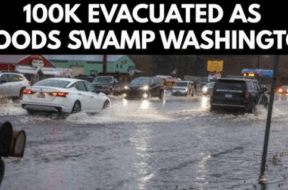 Screenshot 2025-12-12 175323