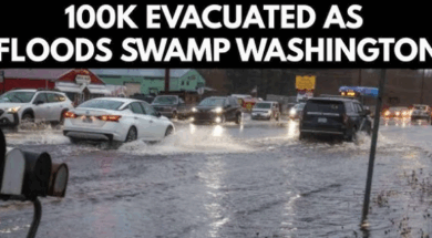 Screenshot 2025-12-12 175323