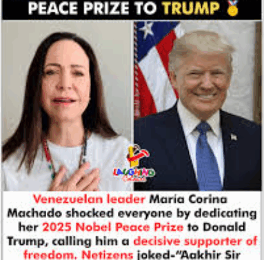 Screenshot 2025-12-13 163117