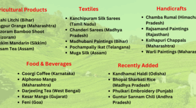 Screenshot 2025-12-23 172552