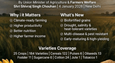 Screenshot 2026-01-05 165454