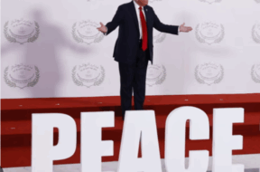 Screenshot 2026-01-20 161218