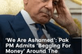 Screenshot 2026-01-31 162017