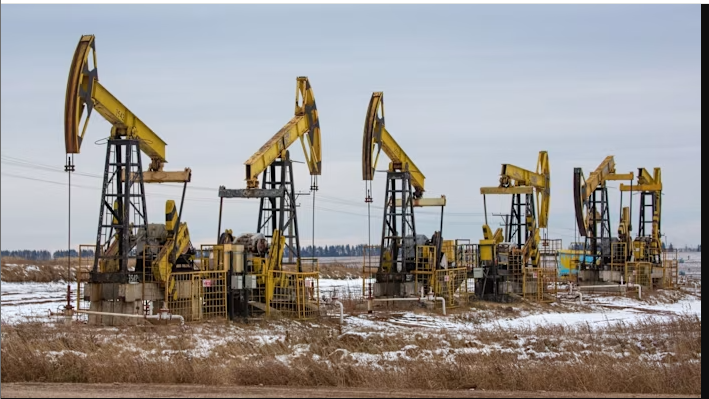 No Communication from India on Stopping Russian Oil Purchase: Kremlin