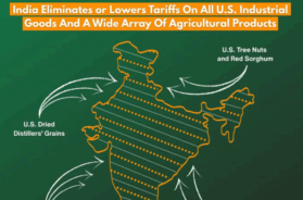 Screenshot 2026-02-07 155450