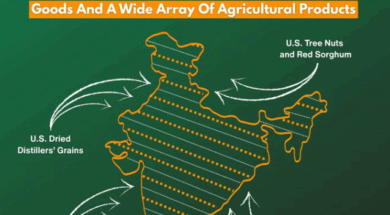 Screenshot 2026-02-07 155450