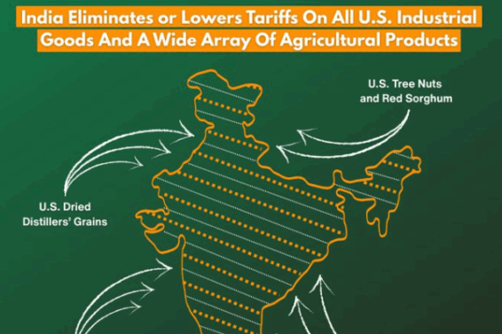 Screenshot 2026-02-07 155450