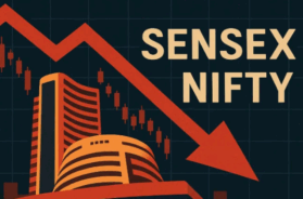 Screenshot 2026-02-13 164530