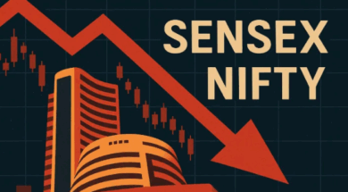 Screenshot 2026-02-13 164530