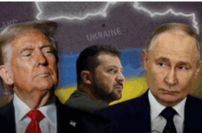 Screenshot 2026-02-13 170236