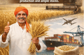 Screenshot 2026-02-13 175208