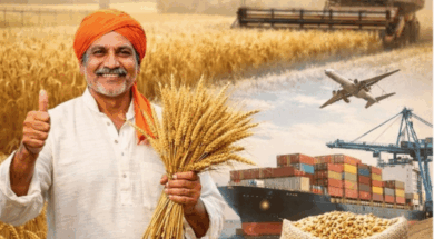 Screenshot 2026-02-13 175208