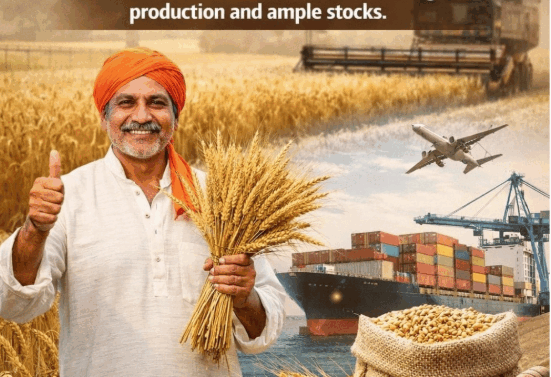 Screenshot 2026-02-13 175208