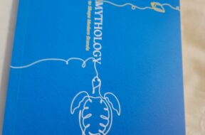 WhatsApp Image 2026-02-10 at 17.22.51