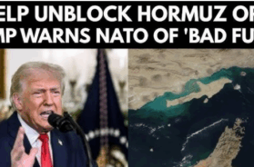 Screenshot 2026-03-16 163814