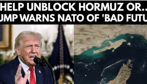 Screenshot 2026-03-16 163814